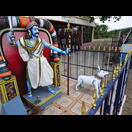 Einen Hund als Begleittier eines Gottes hatten wir bisher nicht gesehen